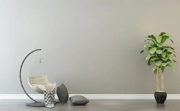 什么是房屋明堂