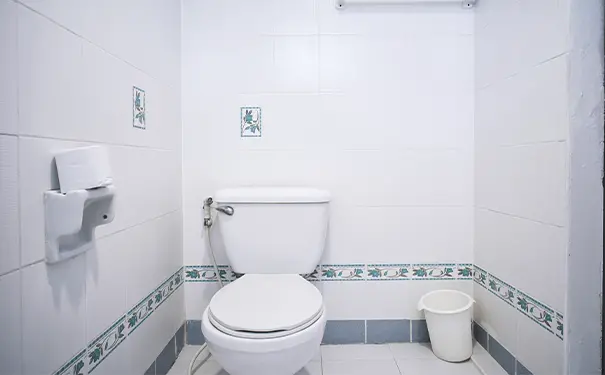 家居布局的风水与实用性 厕所朝南好不好