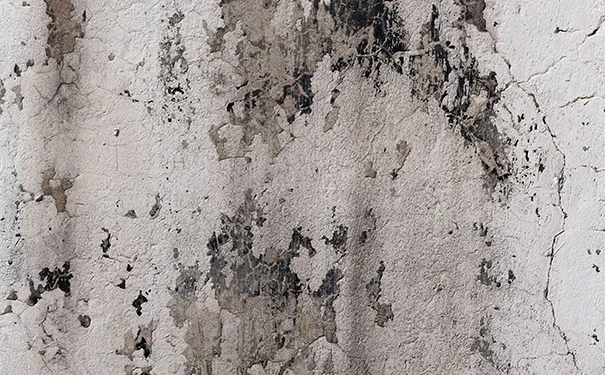 厨房瓷砖装修注意事项 厨房瓷砖装修技巧