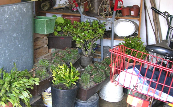 厨房瓷砖装修注意事项 厨房瓷砖装修技巧